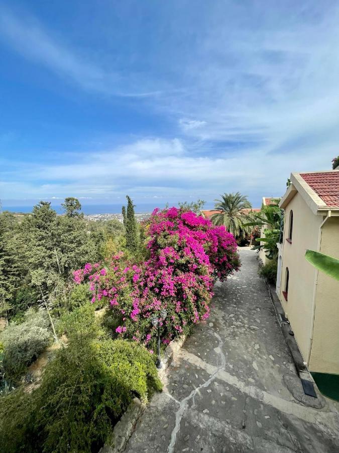 Bellapais Gardens旅舍 外观 照片