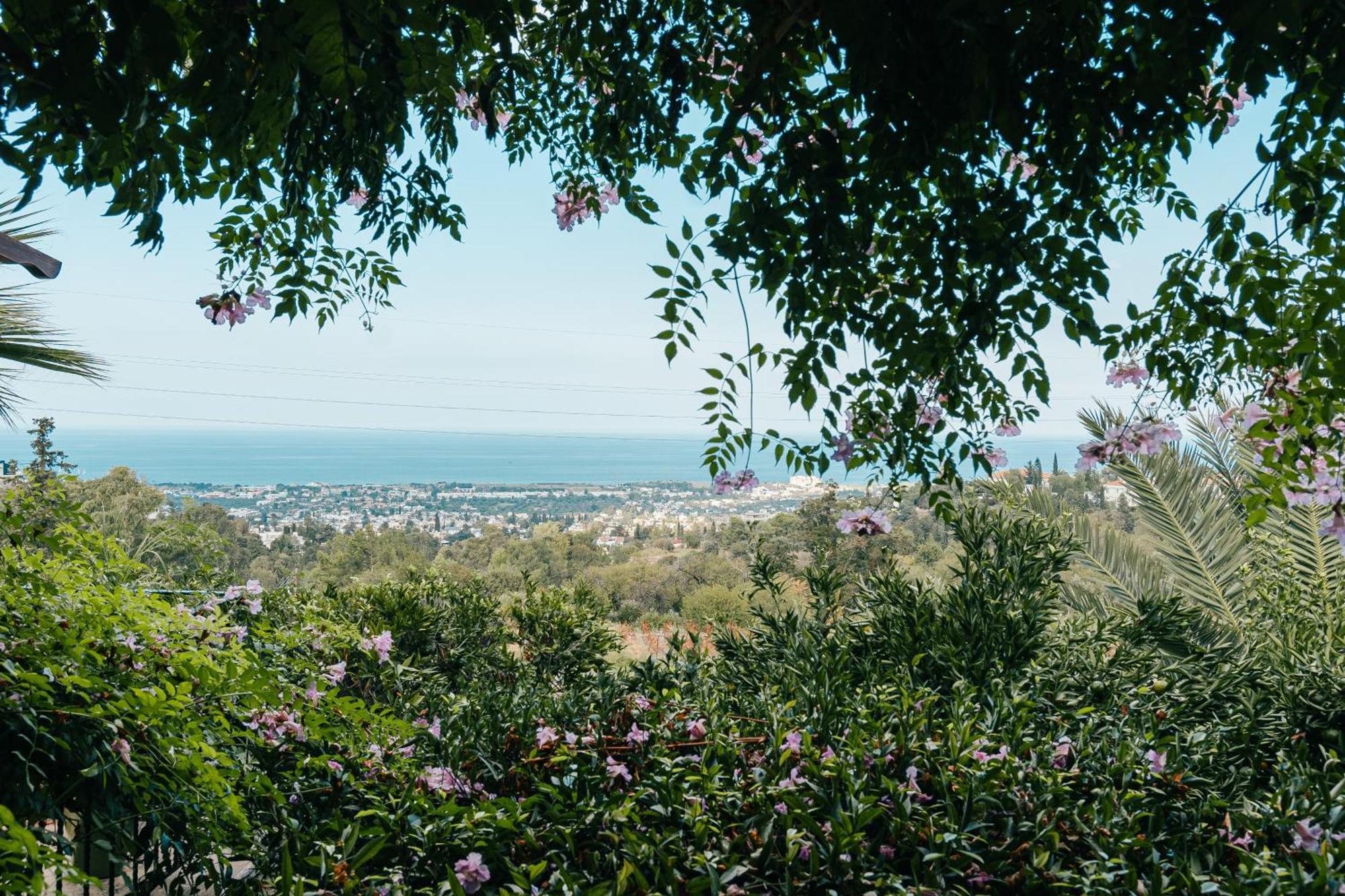 Bellapais Gardens旅舍 外观 照片