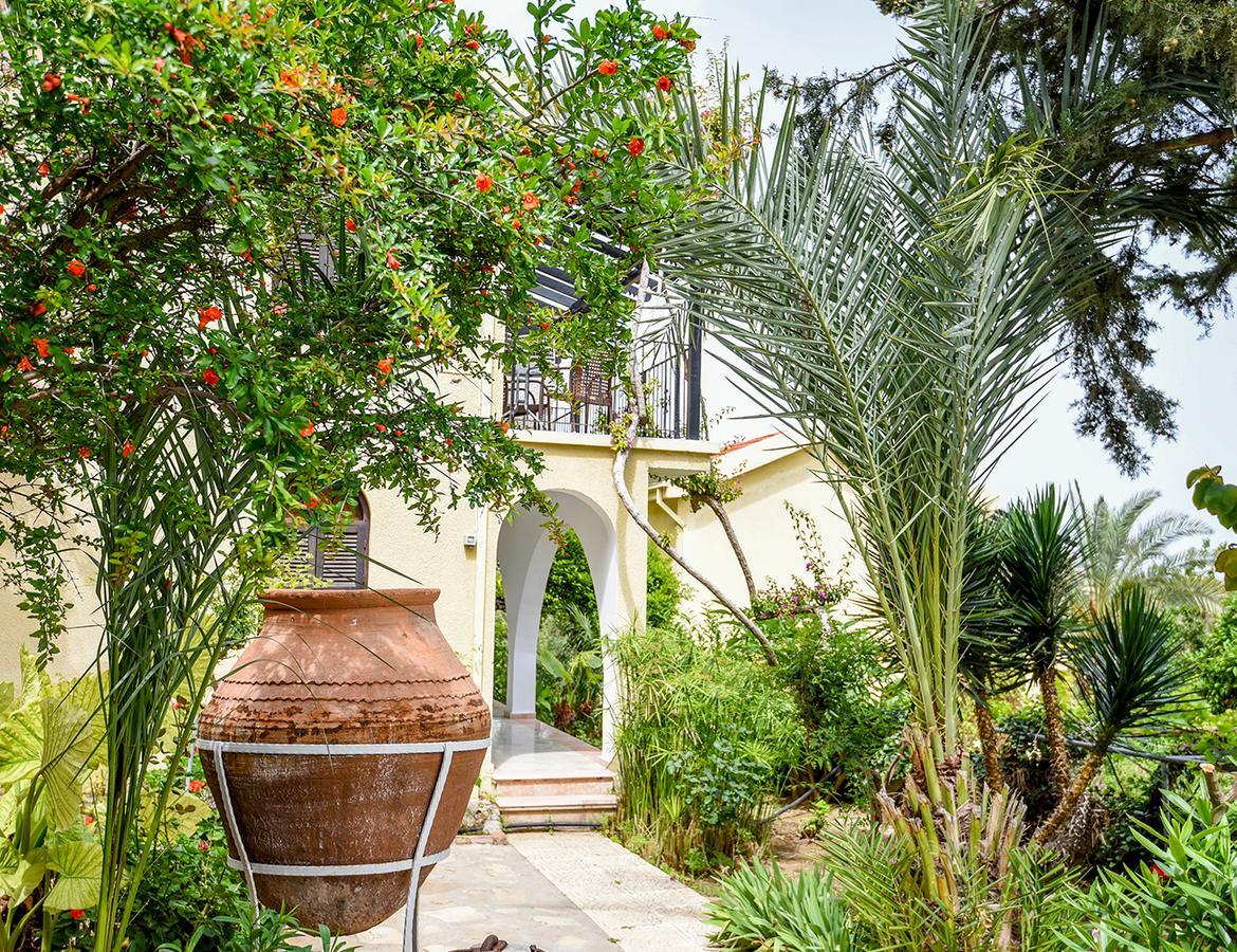 Bellapais Gardens旅舍 外观 照片